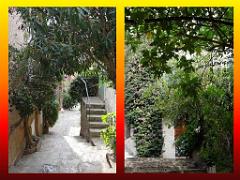 183 D23 BORMES LES MIMOSAS 1_000054
